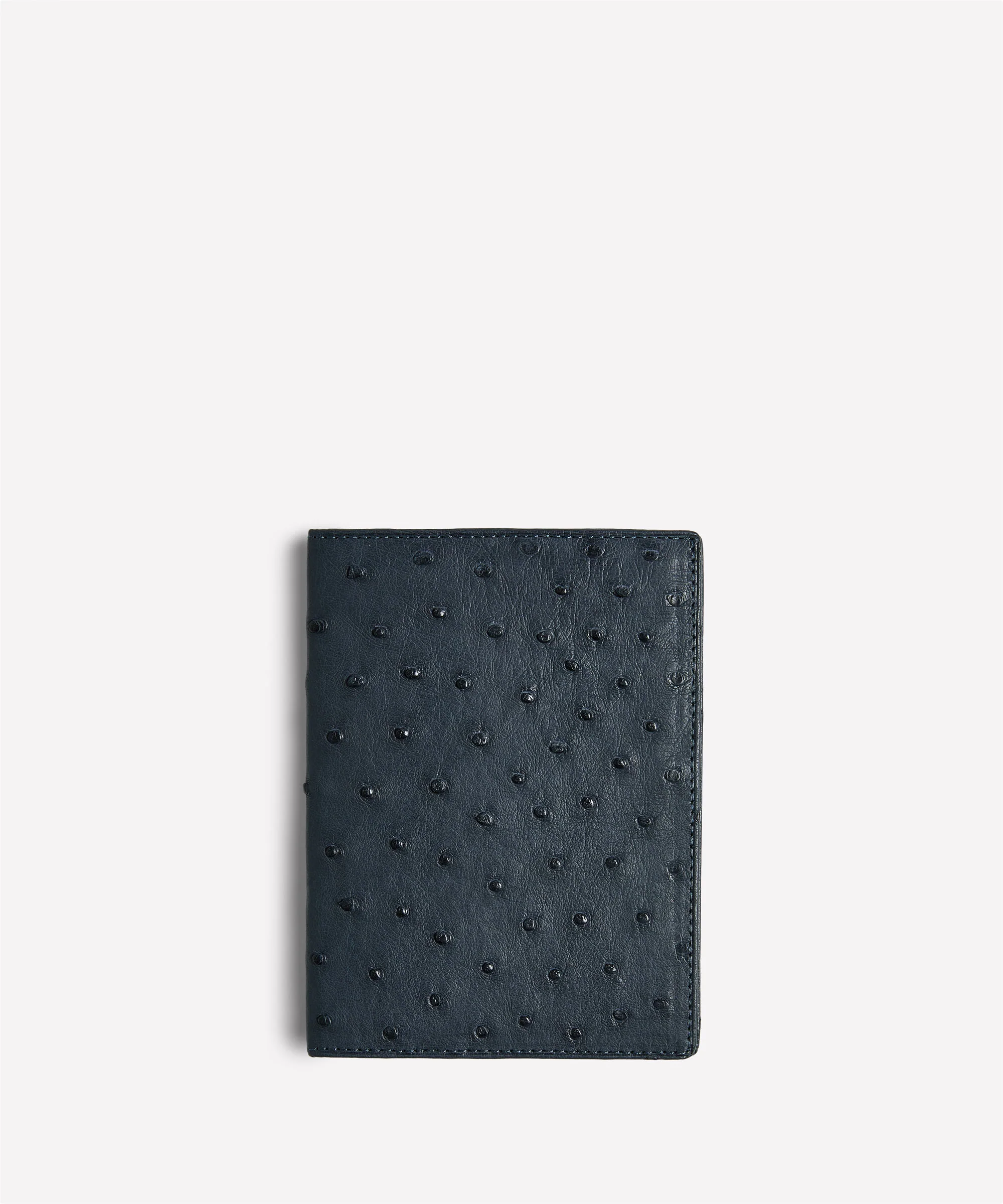 Passport Case
